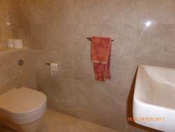 Trilight (D11), Condominium #142540322